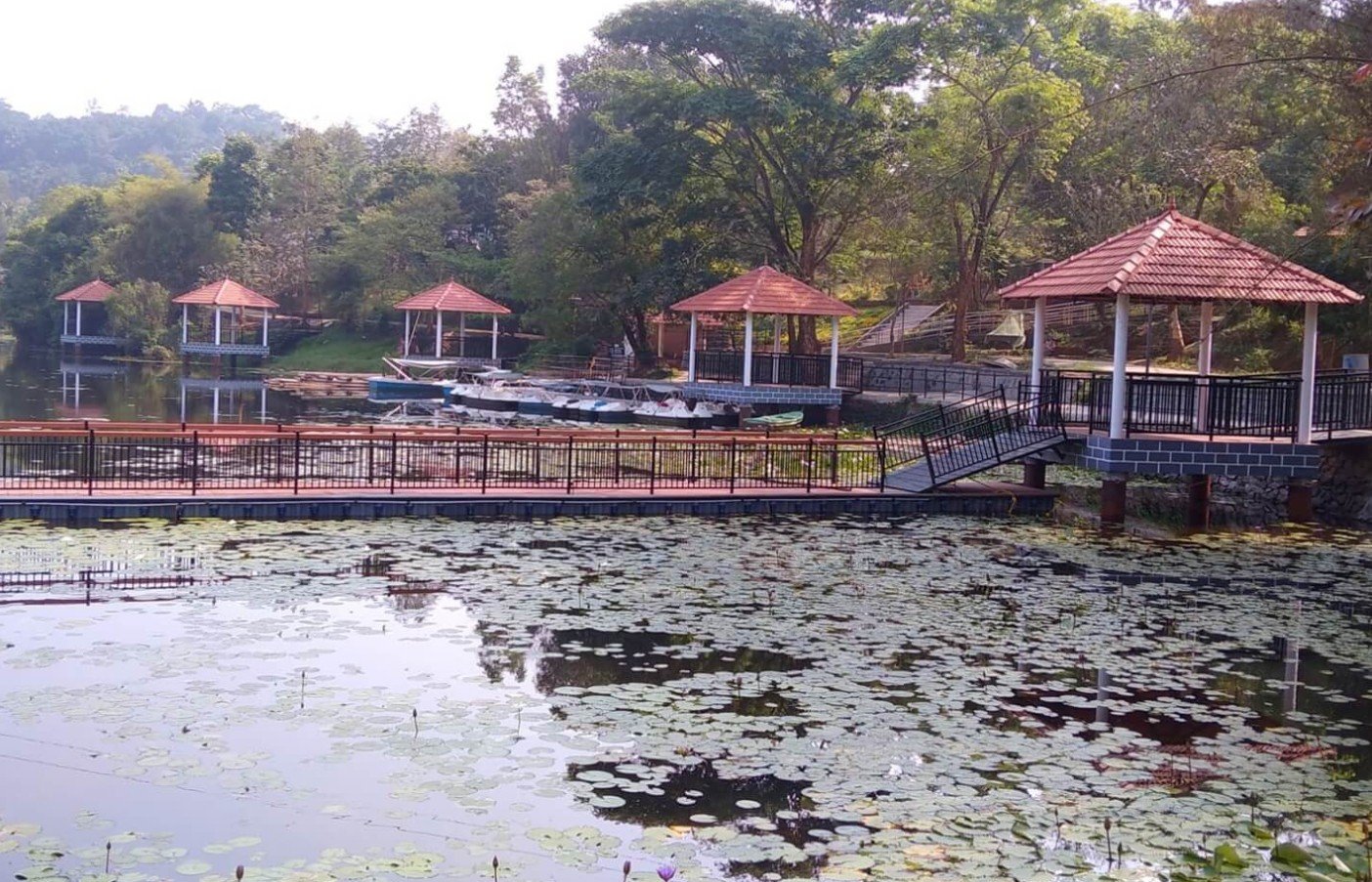 Karlad Lake, Wayanad, Kerala - Vushii.com Karlad Lake, Wayanad, Kerala - Vushii.com